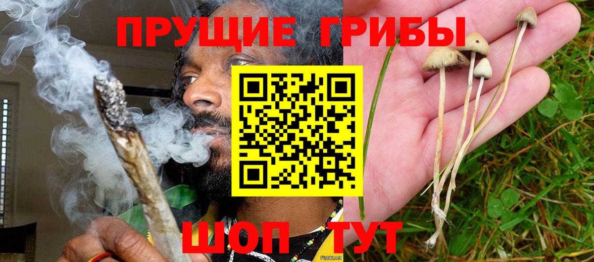 Псилоцибиновые грибы ЛСД  Вход с VPN  наркотики  Псилоцибиновые грибы GOLDEN TEACHER  Воткинск 